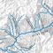 Urban floods – Which path does the Kriva Reka River take?